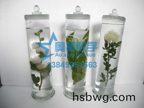  如何清(qing)洗生物切片標本的玻片？