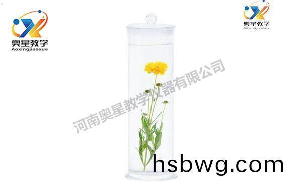 標本