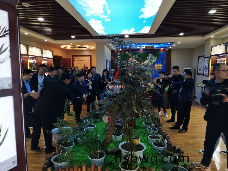 標本館對外交流