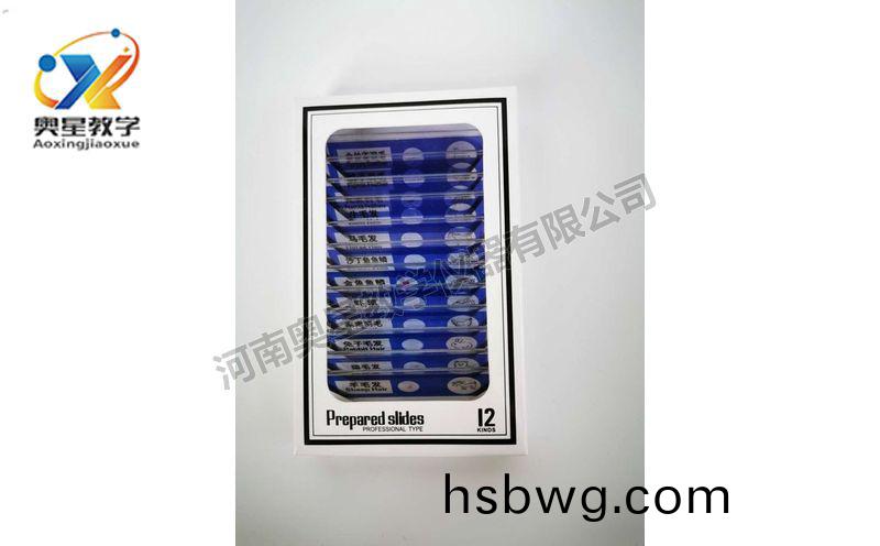 兒童塑料切片