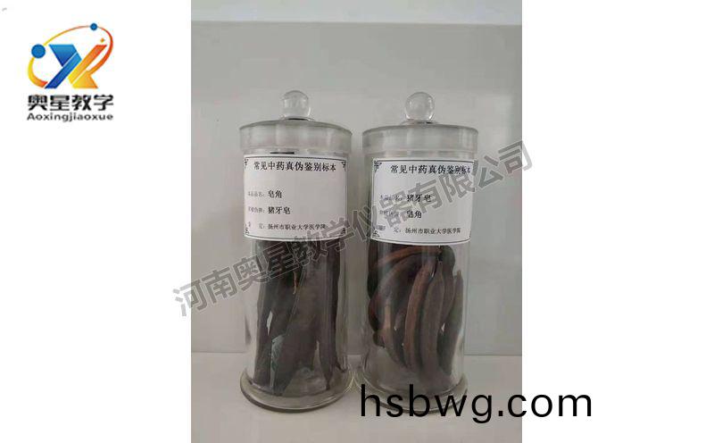 鑒彆標本
