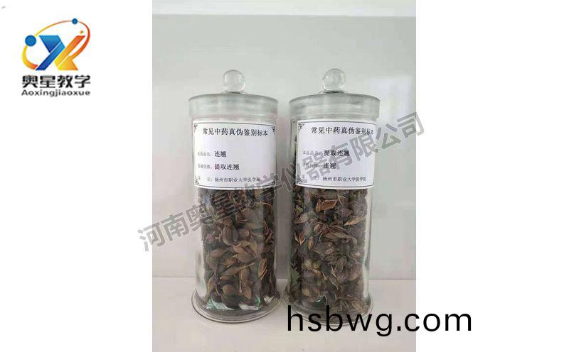 鑒彆標本