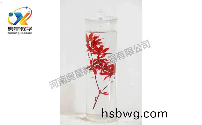 浸漬(zi)標本