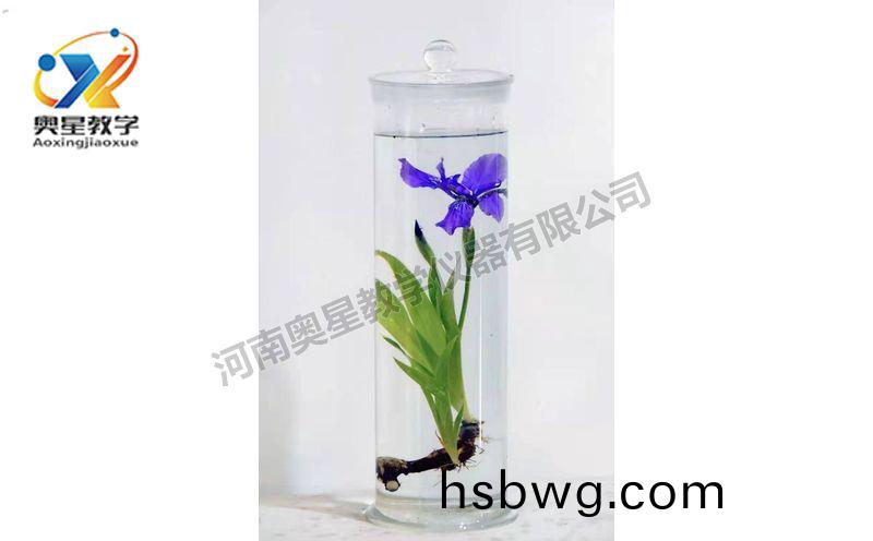 浸漬標本