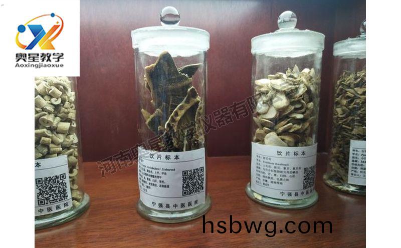 飲片標本