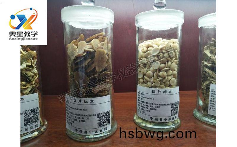 飲片標本