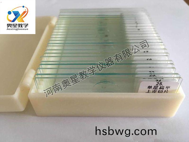 顯微鏡配套