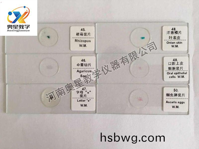 顯微鏡配套