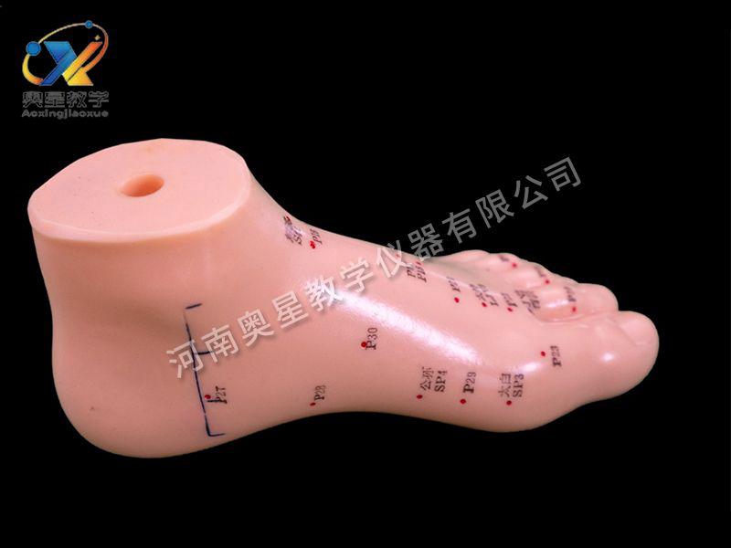 足鍼(zhen)灸糢型