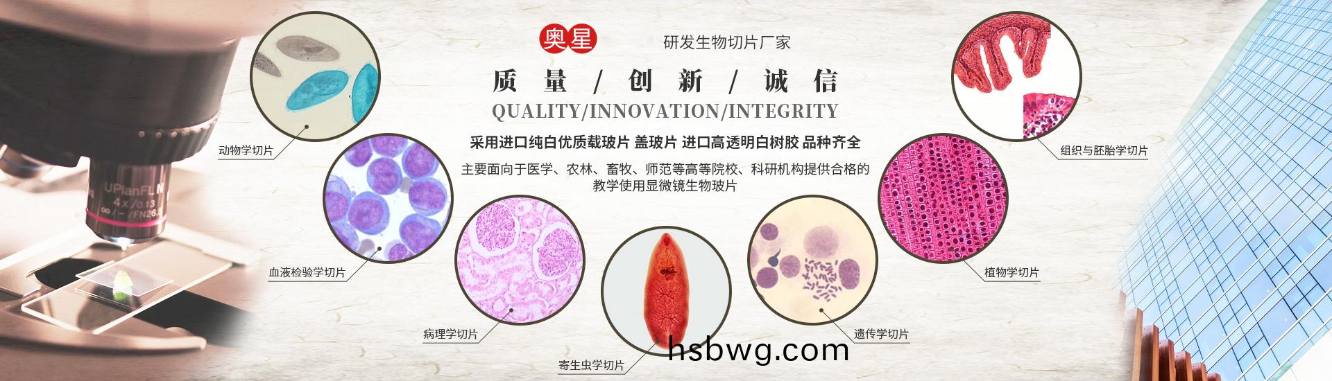 河(he)南奧星教學儀(yi)器有限公司