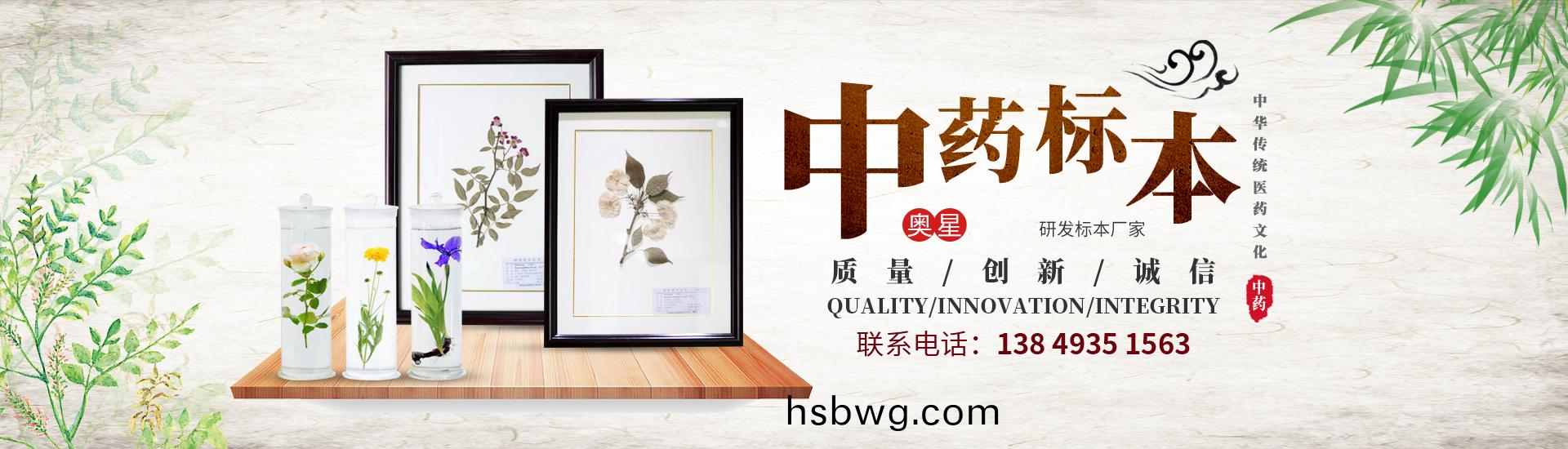 河南奧星教學儀(yi)器有(you)限公司