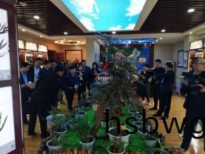 標本館對外交流